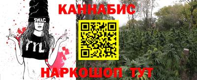 крисы Свободный