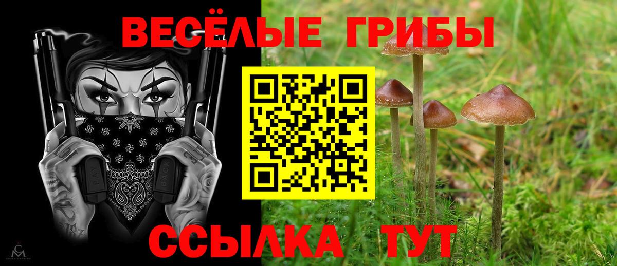Осинники  Псилоцибиновые грибы Psilocybine cubensis  Вход с VPN  Псилоцибиновые грибы Cubensis 